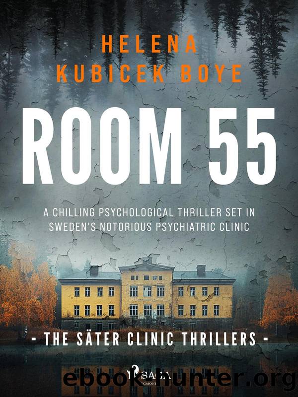 Room 55 by Helena Kubicek Boye