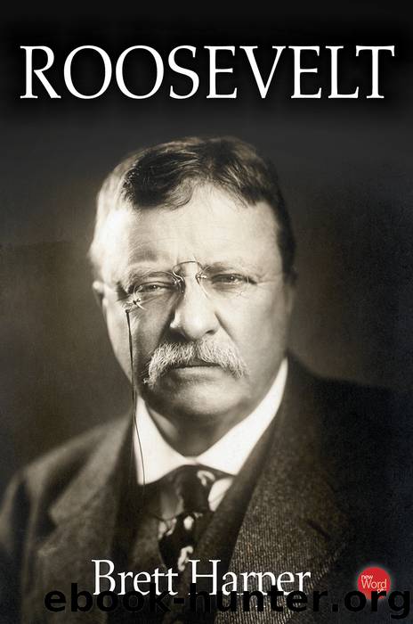 Roosevelt by Brett Harper