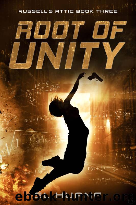 Root of Unity by SL Huang