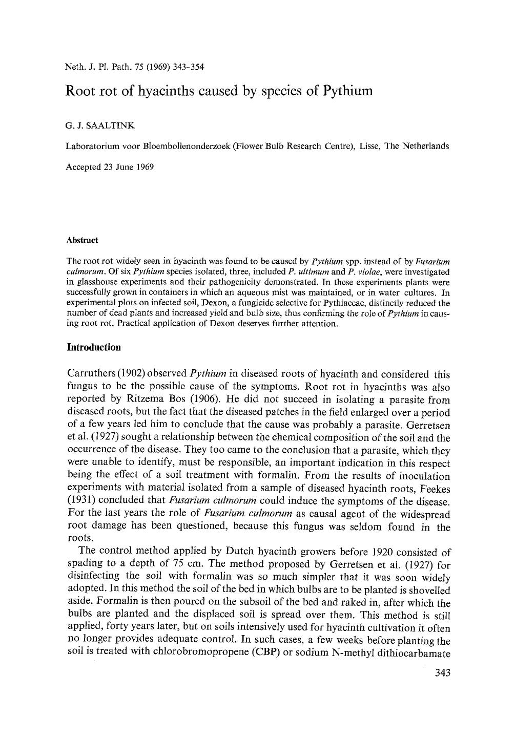 Root rot of hyacinths caused by species of Pythium by Unknown