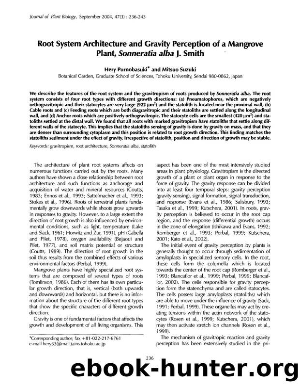 Root system architecture and gravity perception of a mangrove plant, <Emphasis Type="Italic">Sonneratia alba <Emphasis> J. Smith by Unknown