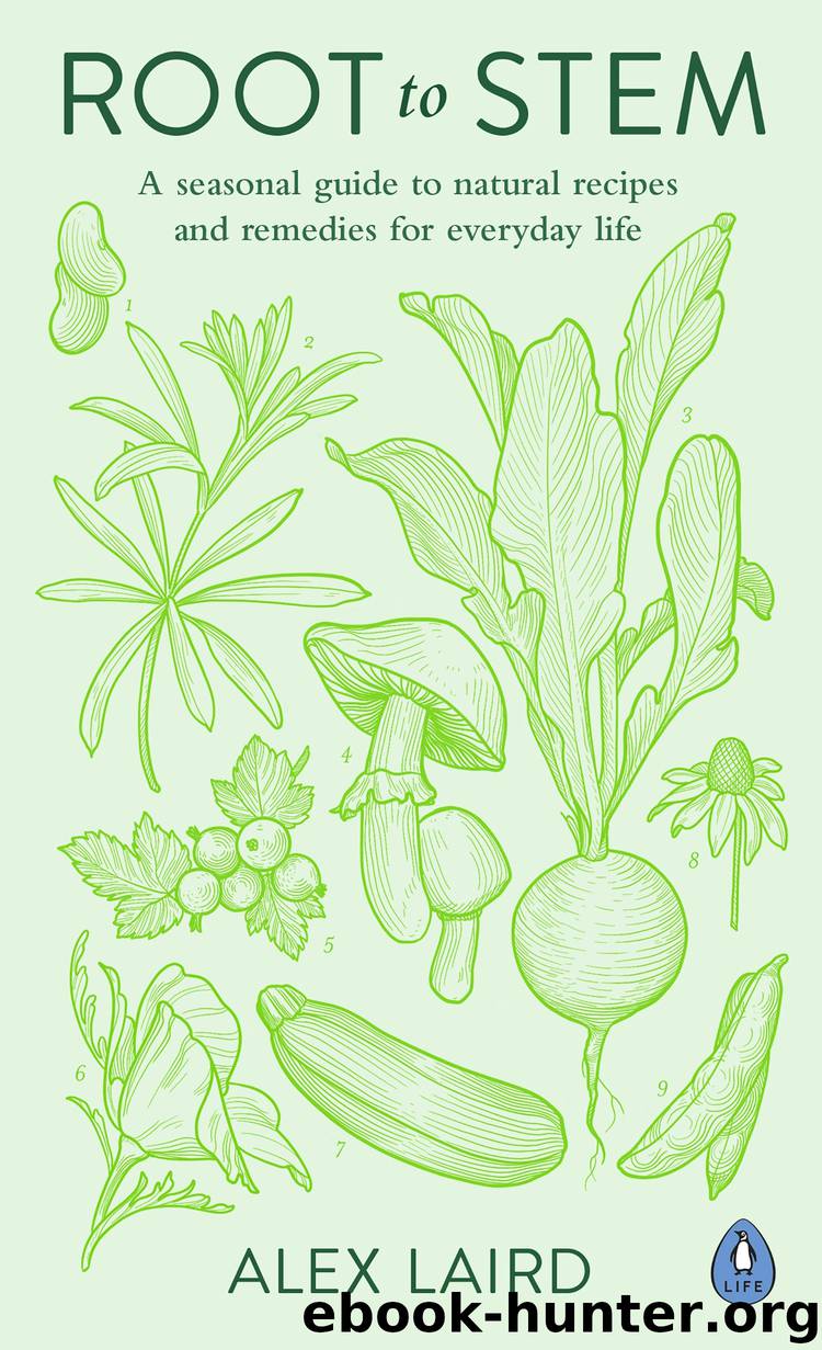 Root to Stem by Alex Laird