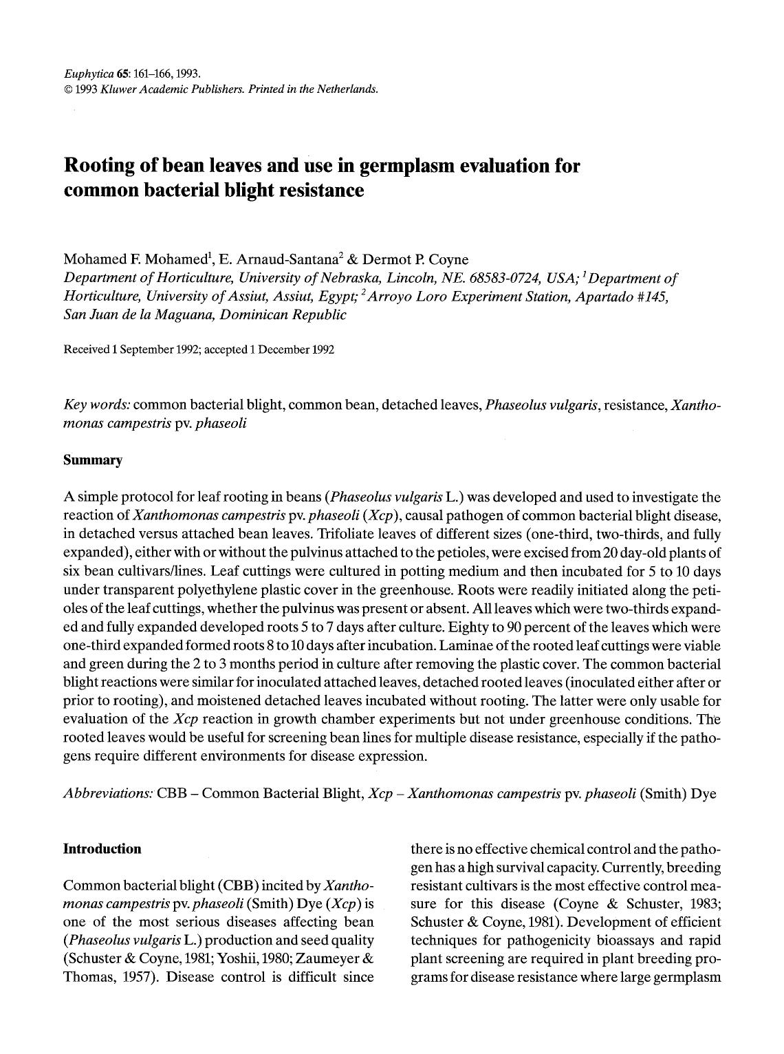 Rooting of bean leaves and use in germplasm evaluation for common bacterial blight resistance by Unknown