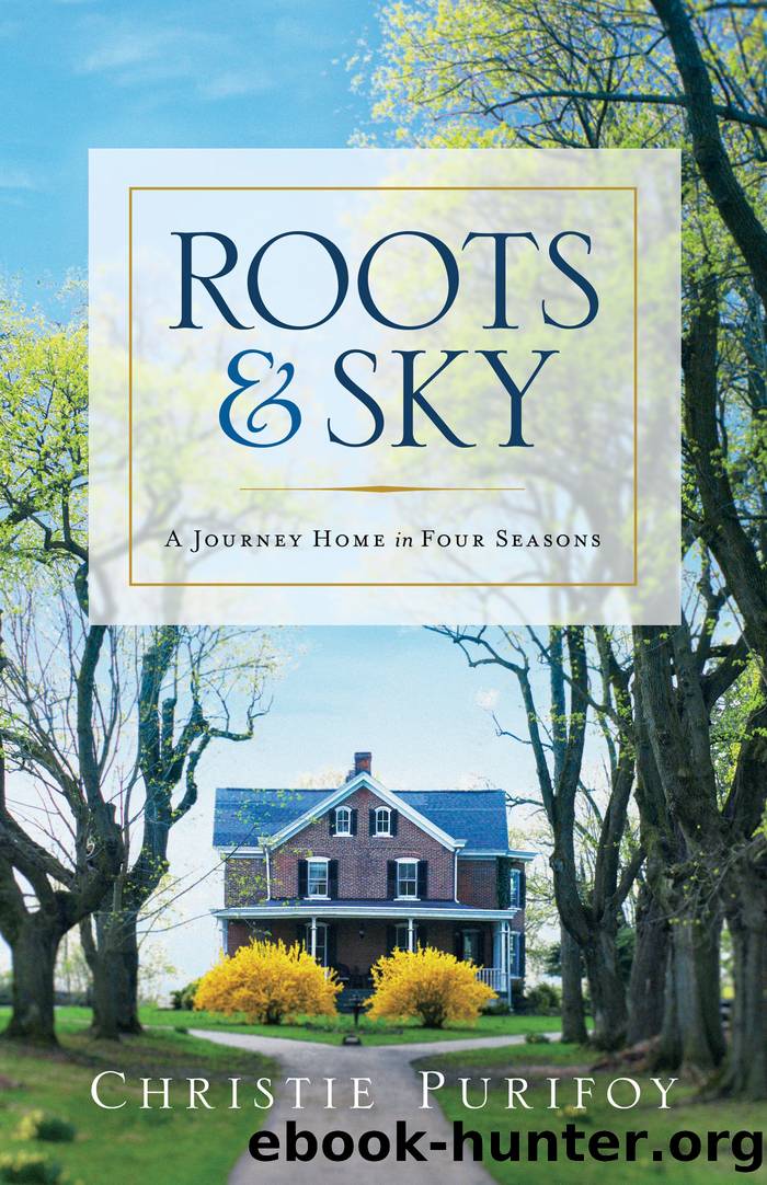Roots and Sky by Christie Purifoy