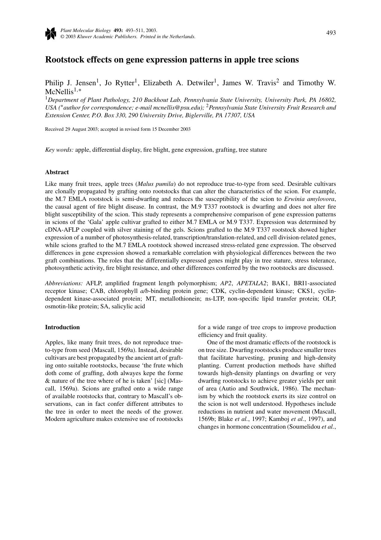 Rootstock effects on gene expression patterns in apple tree scions by Unknown