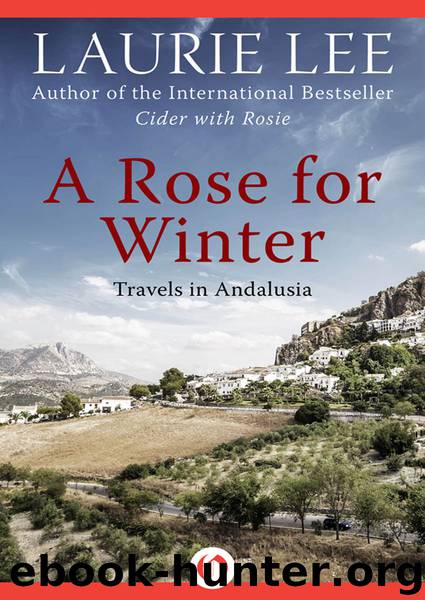 Rose for Winter by Laurie Lee