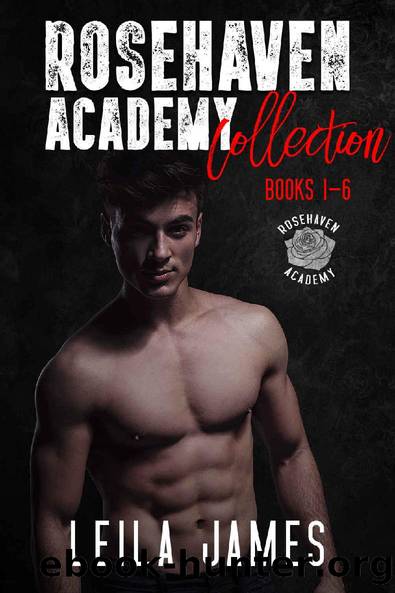 Rosehaven Academy Collection: Books 1-6 by Leila James