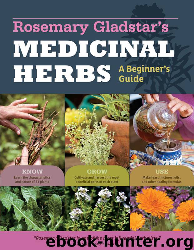 Rosemary Gladstar's Medicinal Herbs by Rosemary Gladstar