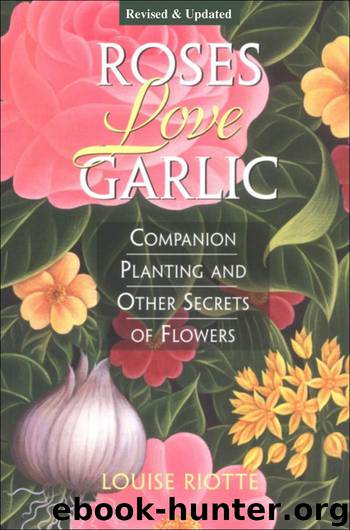 Roses Love Garlic by Louise Riotte