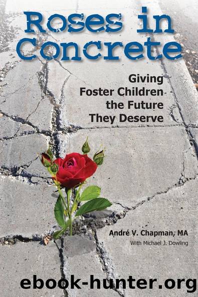 Roses in Concrete by Andre Chapman