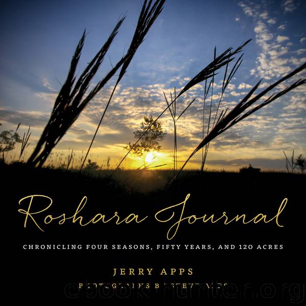 Roshara Journal by Jerry Apps