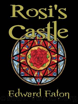 Rosi's Castle by Edward Eaton