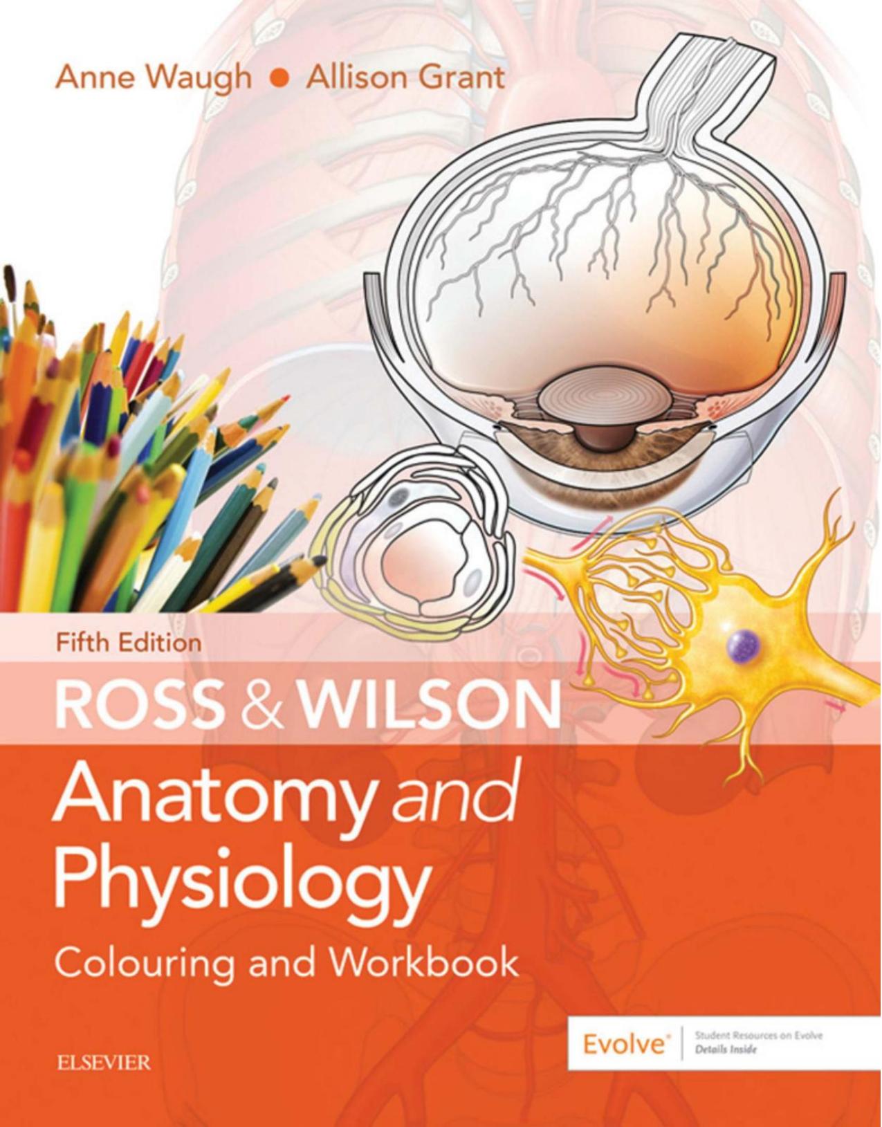 Ross & Wilson Anatomy and Physiology Colouring and Workbook by Anne Waugh Allison Grant