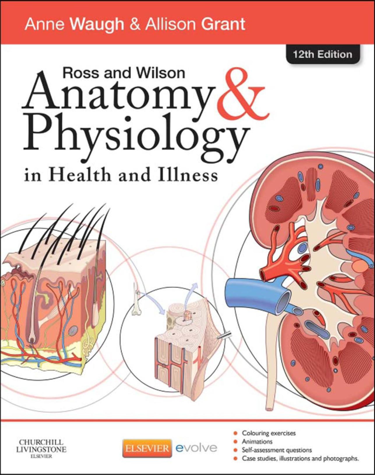 Ross and Wilson Anatomy and Physiology in Health and Illness by Anne Waugh MSc CertEd SRN RNT FHEA Allison Grant BSc PhD RGN