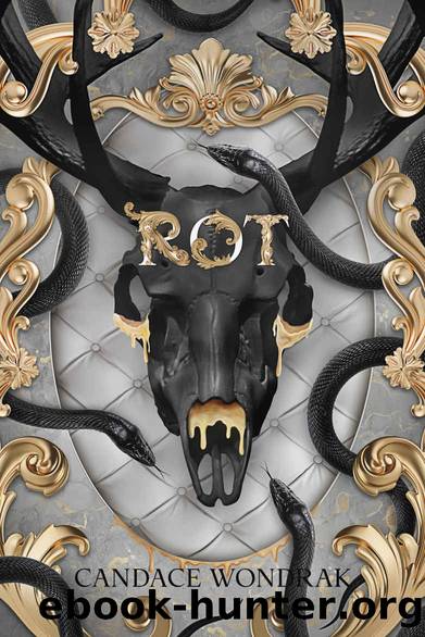 Rot by Candace Wondrak