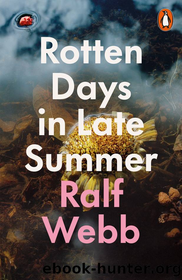 Rotten Days in Late Summer by Ralf Webb