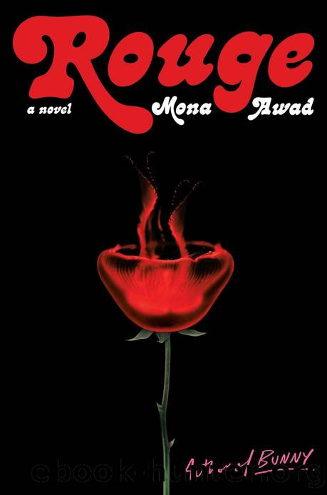 Rouge: A Novel by Mona Awad