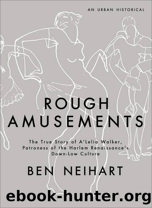 Rough Amusements by Ben Neihart