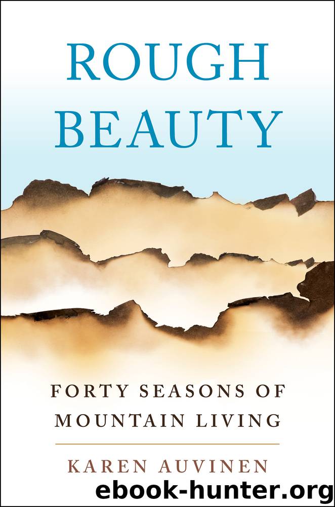 Rough Beauty by Karen Auvinen