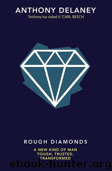Rough Diamonds by Anthony Delaney