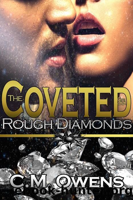 Rough Diamonds by C.M. Owens