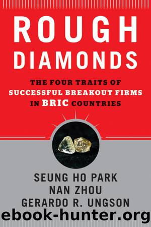 Rough Diamonds by Seung Ho Park & Gerardo R. Ungson & Nan Zhou