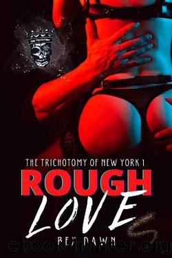 Rough Love: A Dark Reverse Harem Romance: The Trichotomy of New York Book 1 by Bex Dawn