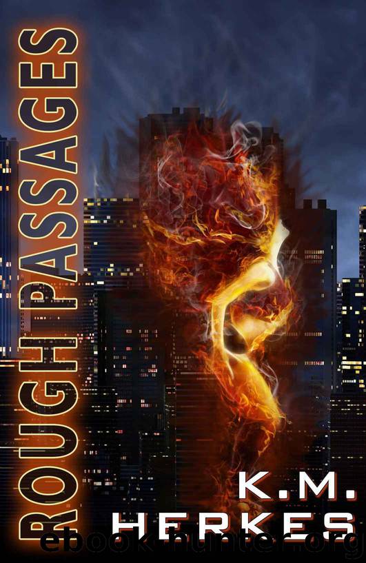 Rough Passages: The Collected Stories by K. M. Herkes