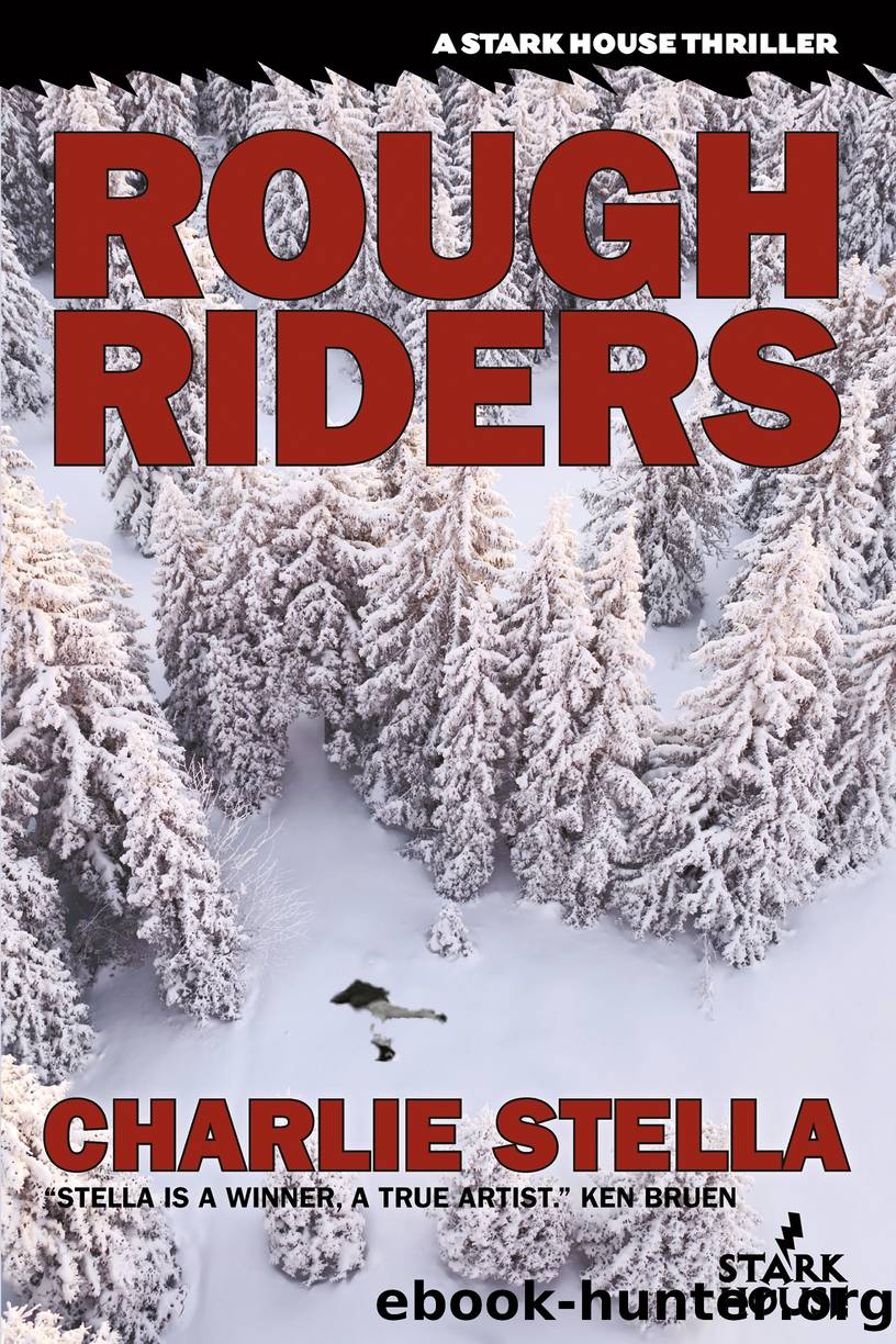 Rough Riders by Charlie Stella