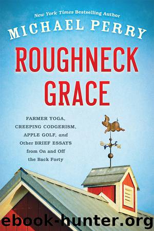Roughneck Grace by Michael Perry