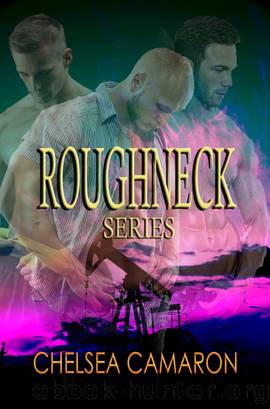 Roughneck Series Box Set by Chelsea Camaron