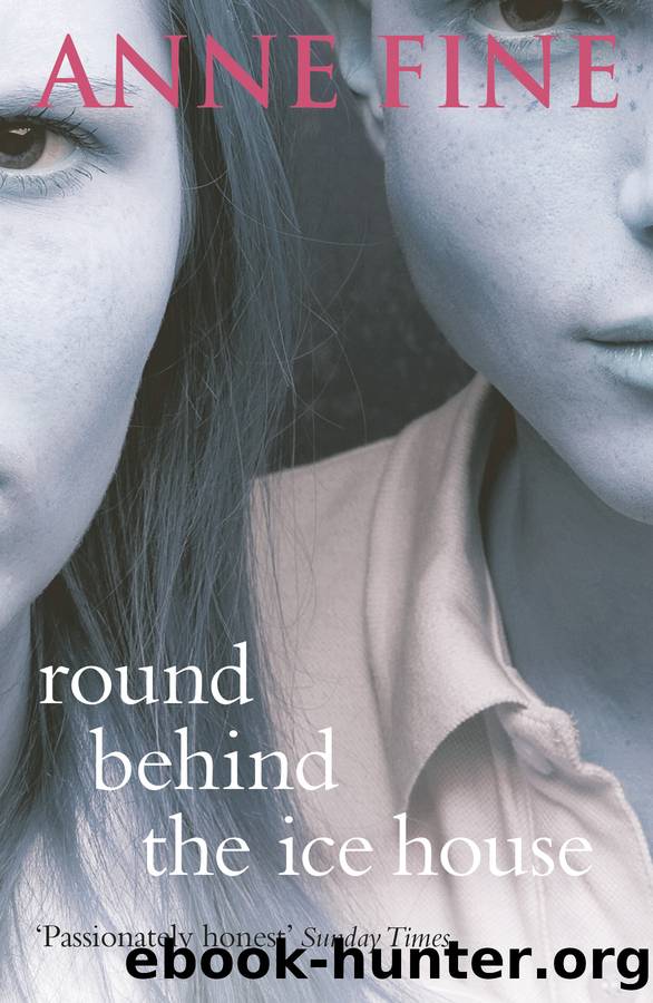 Round Behind the Ice House by Anne Fine