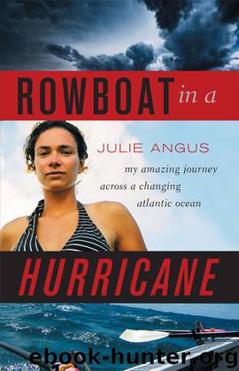 Rowboat in a Hurricane by Julie Angus