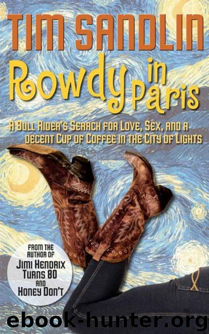Rowdy in Paris by Tim Sandlin