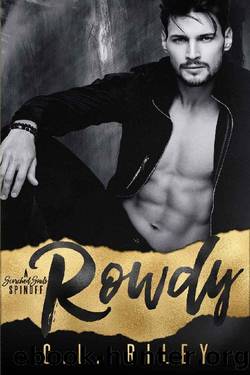 Rowdy_A Scorched Souls Spinoff by C. L. Riley