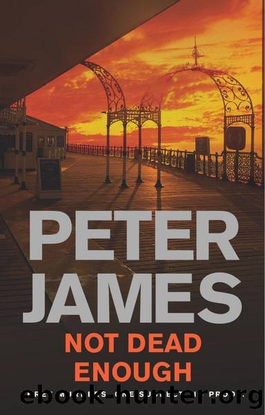 Roy Grace - 03 - Not Dead Enough by Peter James