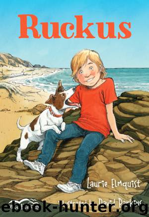 Ruckus by Laurie Elmquist