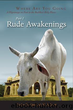 Rude Awakenings by Ajahn Sucitto & Nick Scott