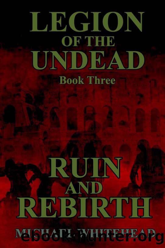 Ruin and Rebirth by Michael Whitehead