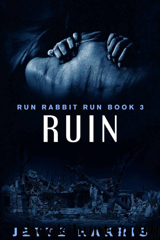Ruin by Jette Harris