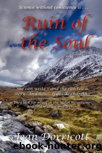 Ruin of the Soul by Jean Dorricott