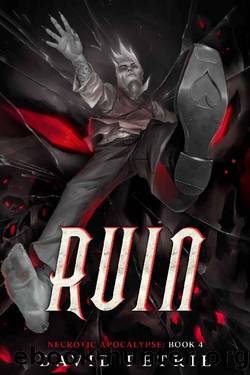 Ruin: A Zombie Apocalypse LitRPG (Necrotic Apocalypse Book 4) by David Petrie