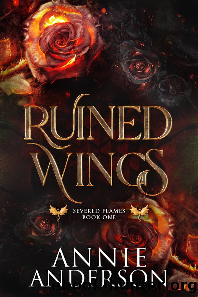 Ruined Wings by Annie Anderson