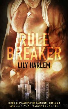 Rule Breaker: Forbidden Love Romance by Lily Harlem