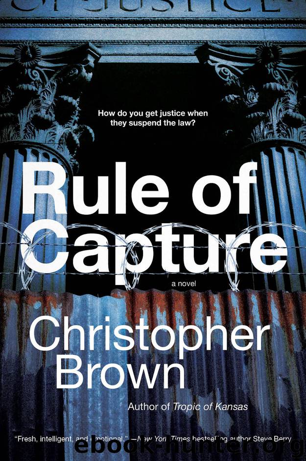 Rule of Capture by Christopher Brown