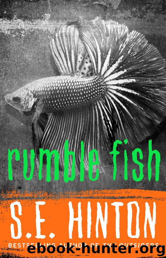 Rumble Fish by S.E. Hinton