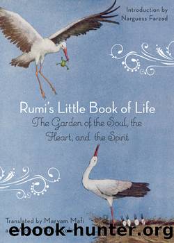 Rumi's Little Book of Life by Rumi