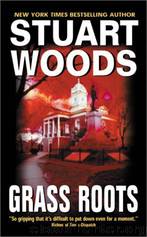 Run Before The Wind by Woods Stuart