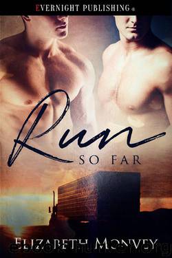 Run So Far by Elizabeth Monvey