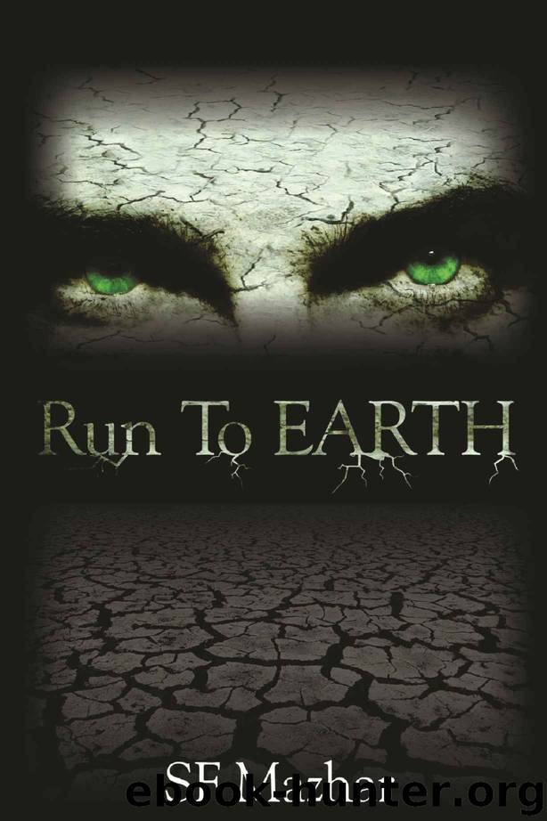 Run To Earth (Power of Four) by Mazhar S